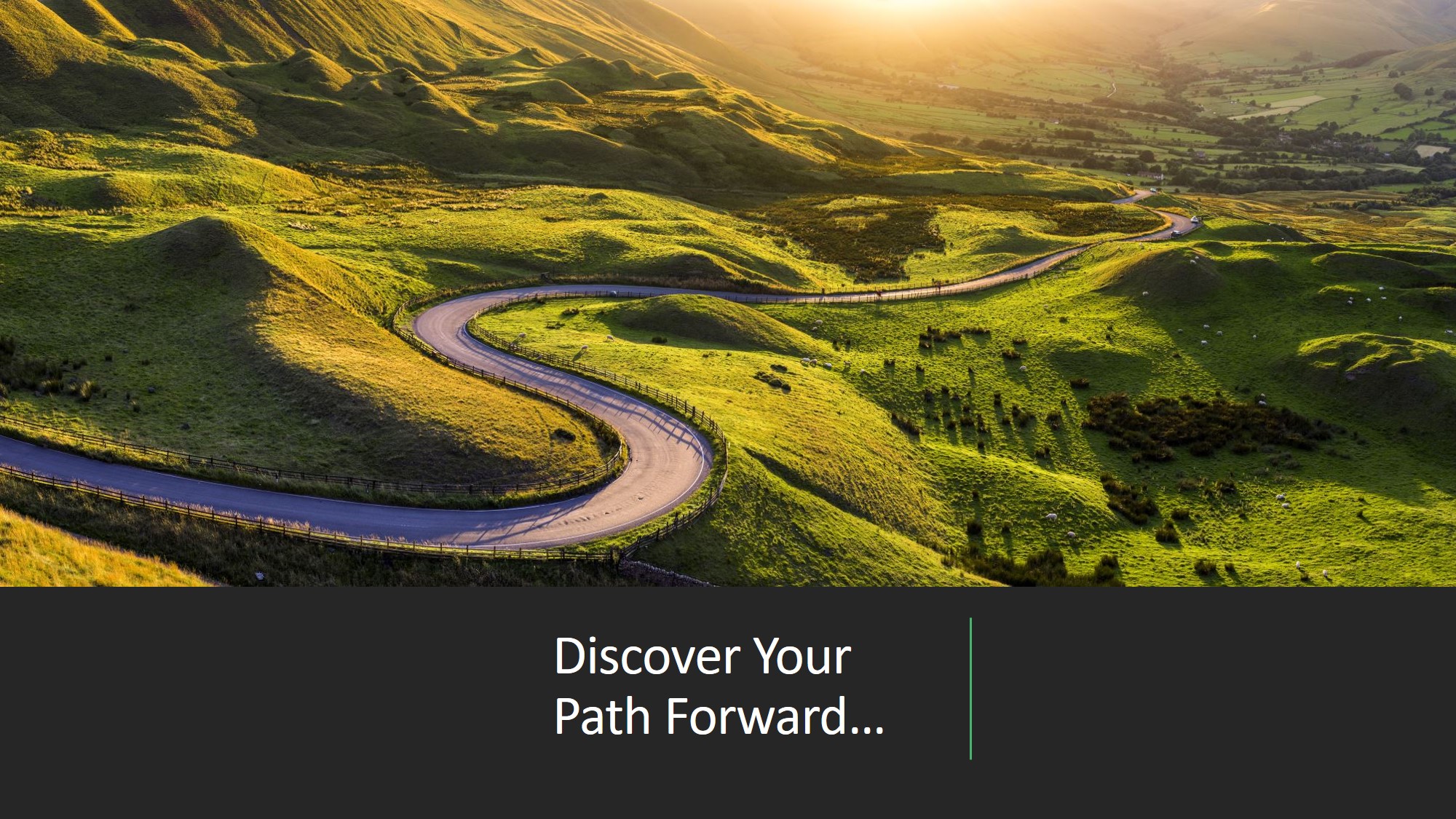 Discover Your Path Forward